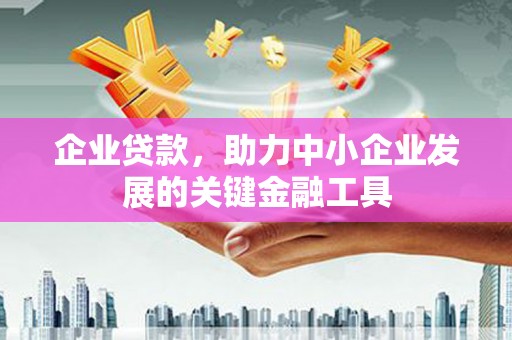 嘉荫企业贷款，助力中小企业发展的关键金融工具