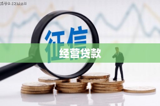 嘉荫经营贷款