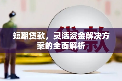 嘉荫短期贷款，灵活资金解决方案的全面解析