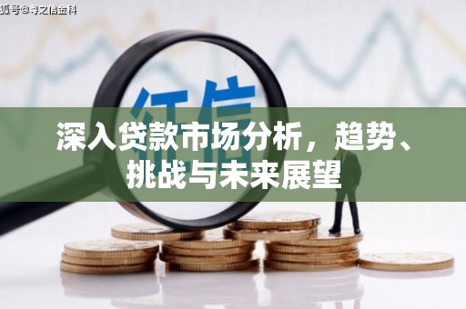 嘉荫深入贷款市场分析，趋势、挑战与未来展望