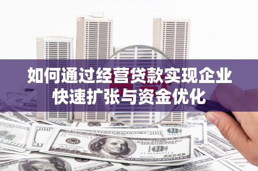 嘉荫如何通过经营贷款实现企业快速扩张与资金优化