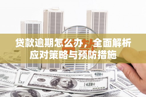 嘉荫贷款逾期怎么办，全面解析应对策略与预防措施