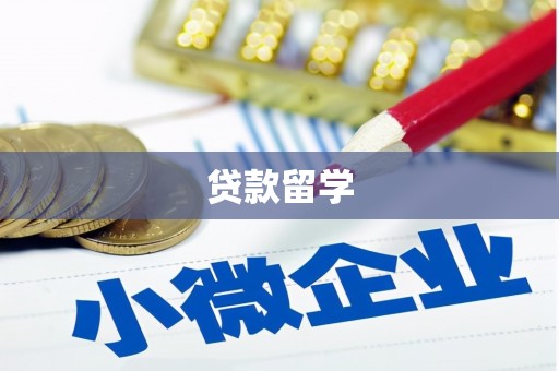 嘉荫贷款留学