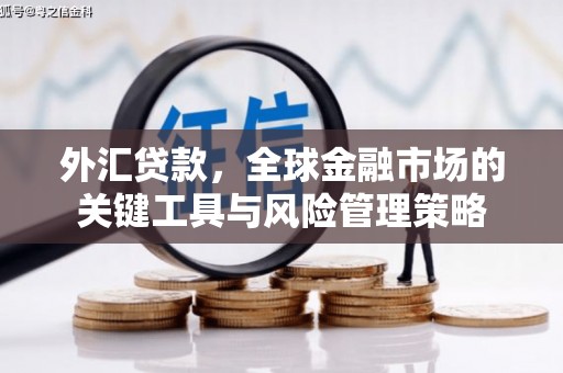 嘉荫外汇贷款，全球金融市场的关键工具与风险管理策略