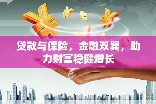 嘉荫贷款与保险，金融双翼，助力财富稳健增长