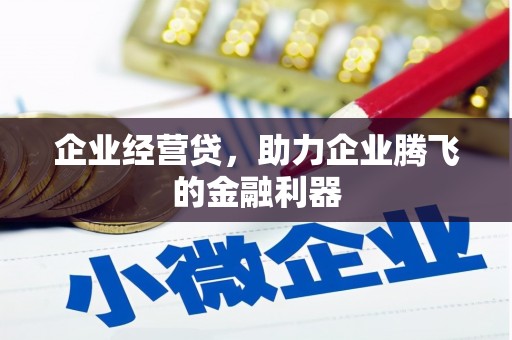 嘉荫企业经营贷，助力企业腾飞的金融利器
