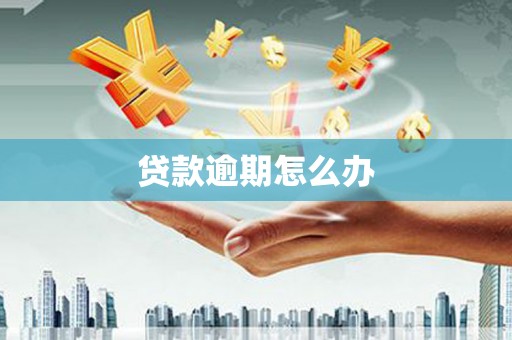 嘉荫贷款逾期怎么办