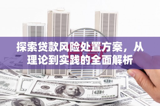 嘉荫探索贷款风险处置方案，从理论到实践的全面解析