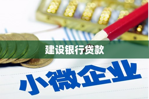 嘉荫建设银行贷款