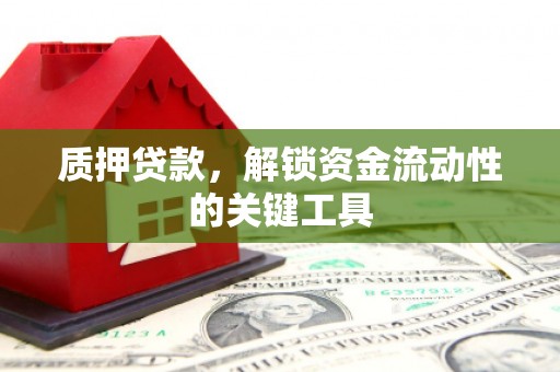 嘉荫质押贷款，解锁资金流动性的关键工具