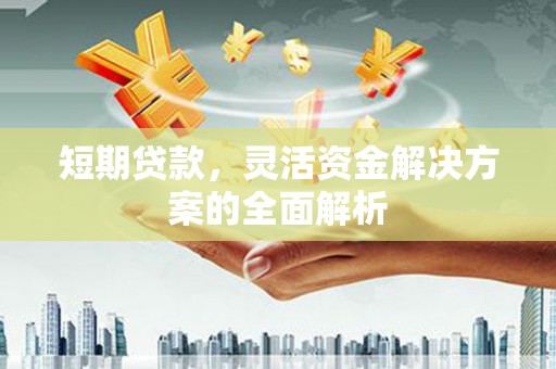 嘉荫短期贷款，灵活资金解决方案的全面解析