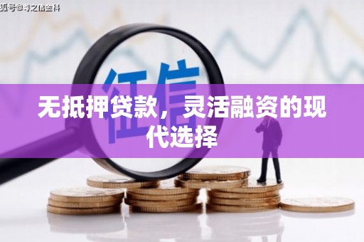 嘉荫无抵押贷款，灵活融资的现代选择