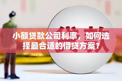 嘉荫小额贷款公司利率，如何选择最合适的借贷方案？