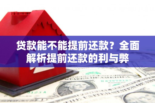 嘉荫贷款能不能提前还款？全面解析提前还款的利与弊
