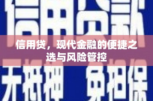 嘉荫信用贷，现代金融的便捷之选与风险管控
