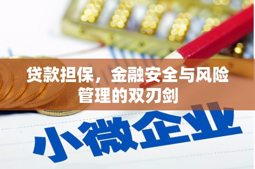 嘉荫贷款担保，金融安全与风险管理的双刃剑