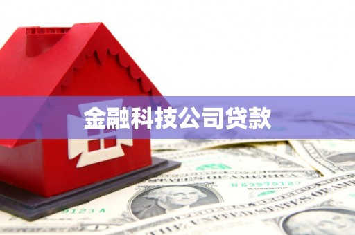 嘉荫金融科技公司贷款