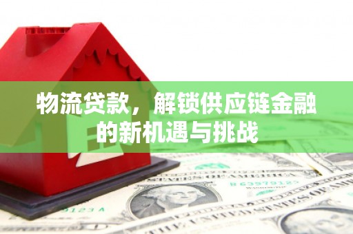 嘉荫物流贷款，解锁供应链金融的新机遇与挑战