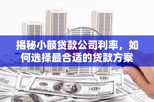 嘉荫揭秘小额贷款公司利率，如何选择最合适的贷款方案
