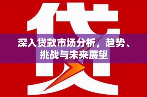 嘉荫深入贷款市场分析，趋势、挑战与未来展望
