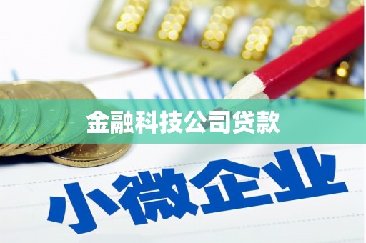 嘉荫金融科技公司贷款