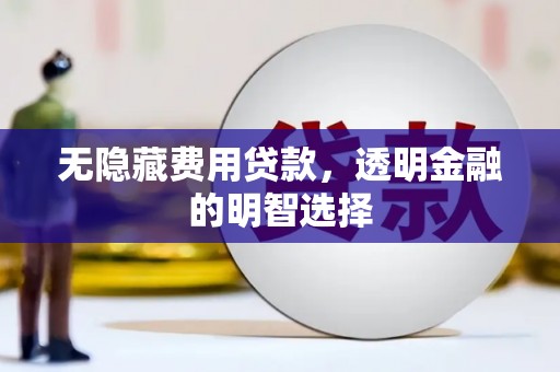 嘉荫无隐藏费用贷款，透明金融的明智选择
