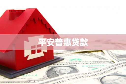 嘉荫平安普惠贷款