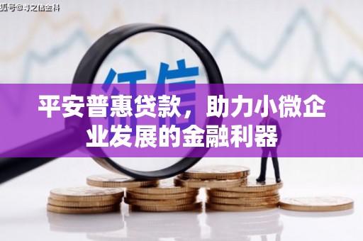 嘉荫平安普惠贷款，助力小微企业发展的金融利器