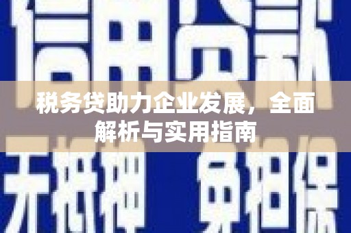 嘉荫税务贷助力企业发展，全面解析与实用指南