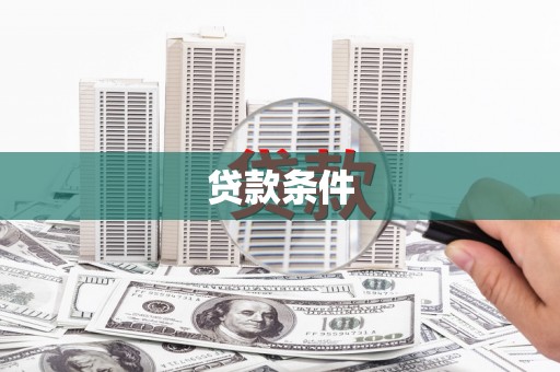 嘉荫贷款条件