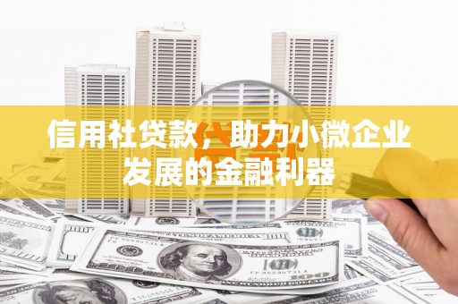 嘉荫信用社贷款，助力小微企业发展的金融利器