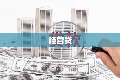 嘉荫经营贷