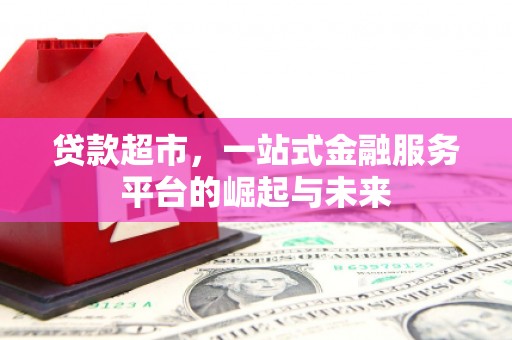 嘉荫贷款超市，一站式金融服务平台的崛起与未来