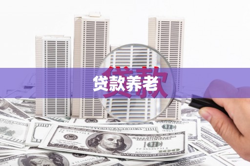 嘉荫贷款养老