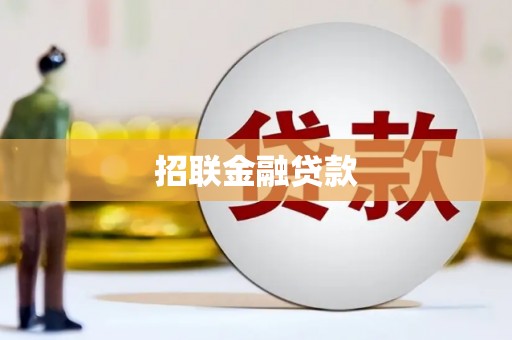 嘉荫招联金融贷款