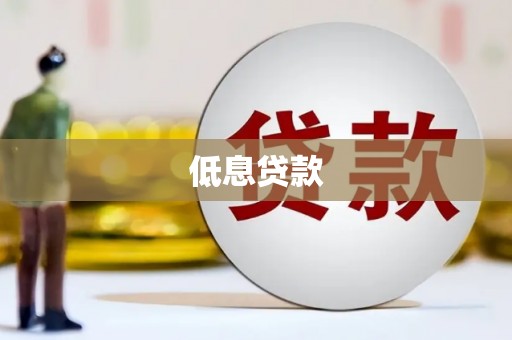 嘉荫低息贷款