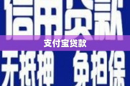 嘉荫支付宝贷款
