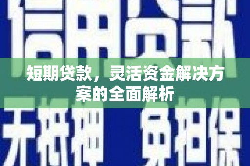 嘉荫短期贷款，灵活资金解决方案的全面解析