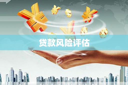 嘉荫贷款风险评估