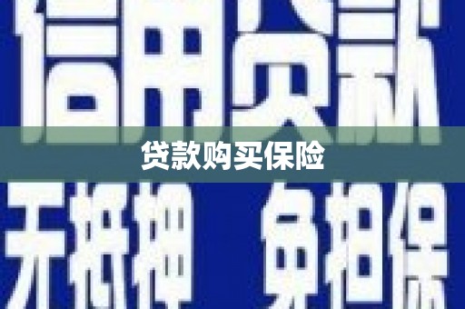 嘉荫贷款购买保险