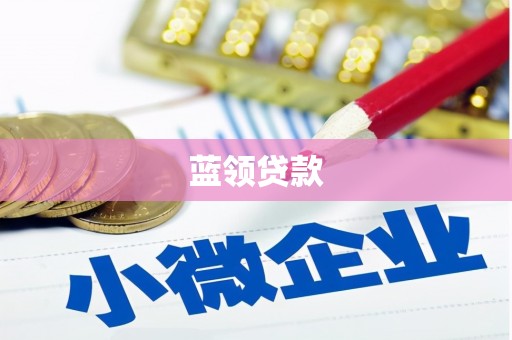 嘉荫蓝领贷款