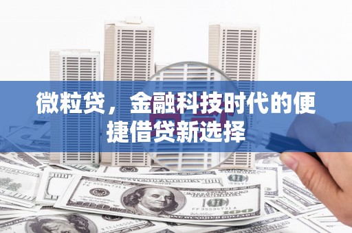 嘉荫微粒贷，金融科技时代的便捷借贷新选择