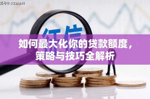 嘉荫如何最大化你的贷款额度，策略与技巧全解析
