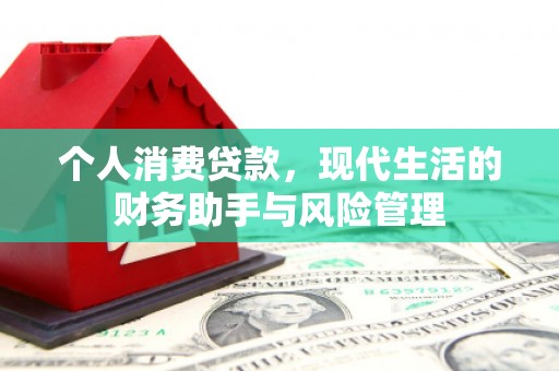 嘉荫个人消费贷款，现代生活的财务助手与风险管理