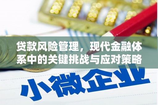 嘉荫贷款风险管理，现代金融体系中的关键挑战与应对策略