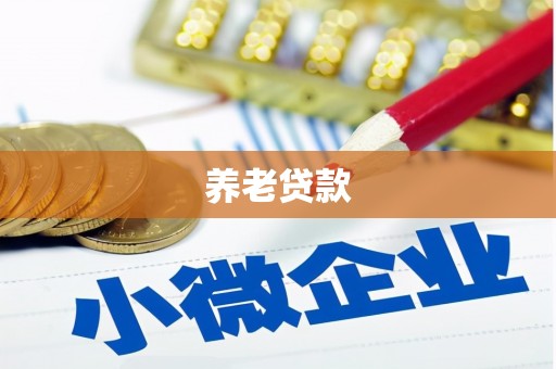 嘉荫养老贷款