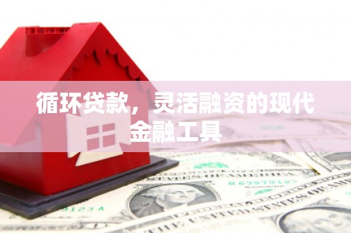 嘉荫循环贷款，灵活融资的现代金融工具