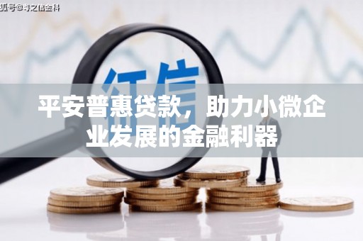 嘉荫平安普惠贷款，助力小微企业发展的金融利器
