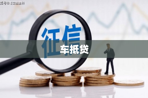 嘉荫车抵贷