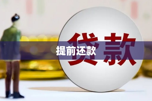嘉荫提前还款